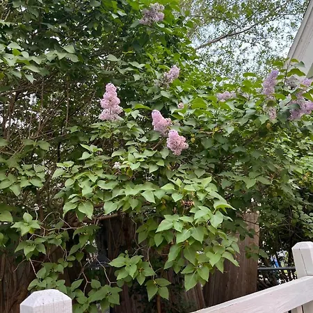 Villa Cozy Cape Cod Grand Rapids Exterior foto
